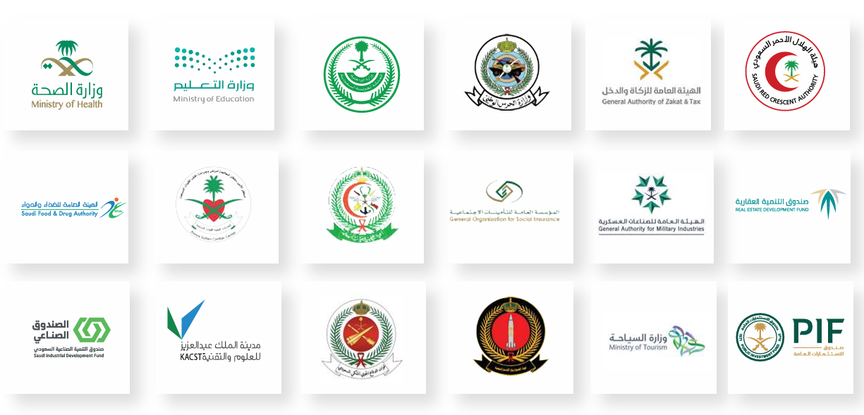 Government and Semi-Government Clients Collage